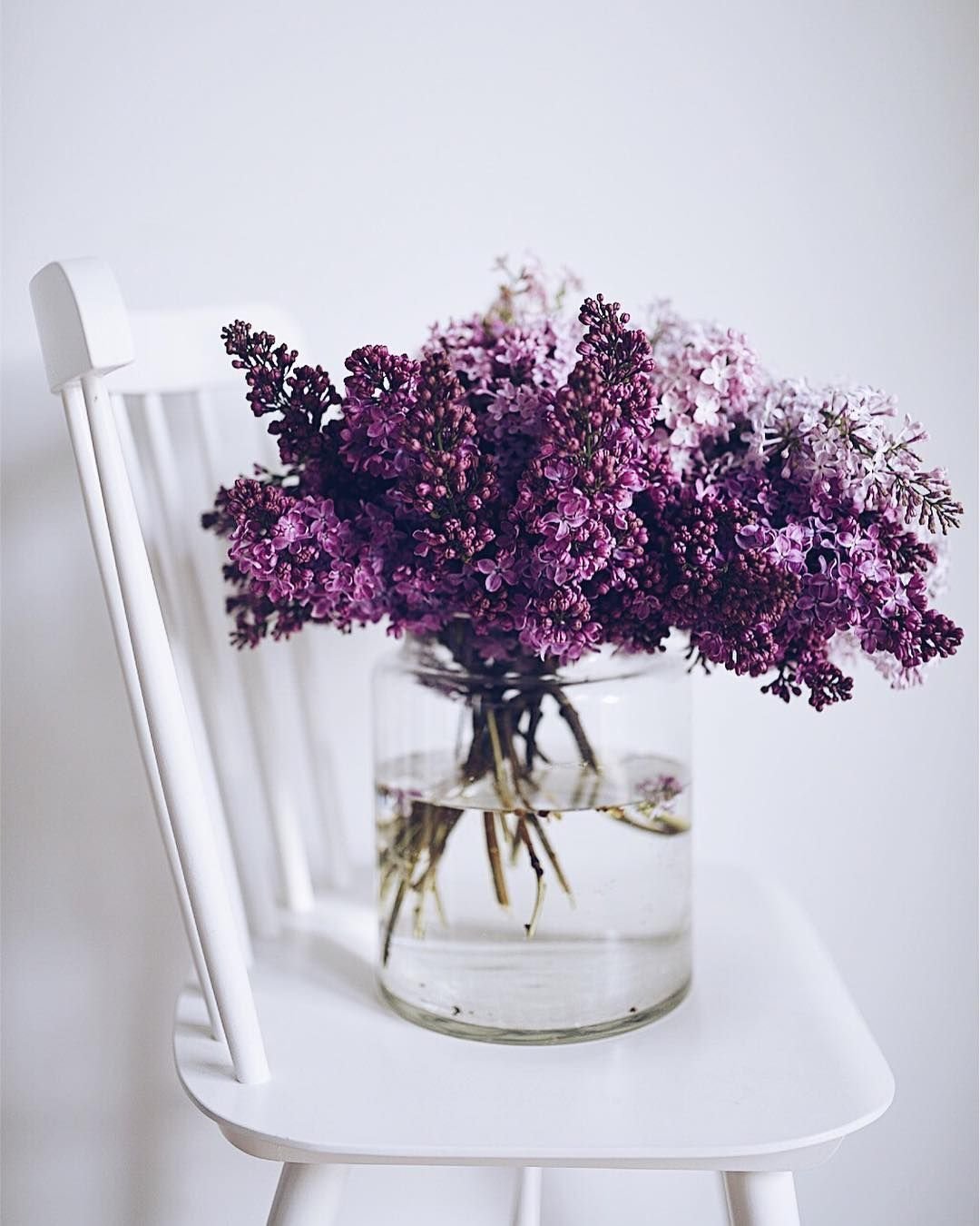 Сирень Эстетика Пинтерест