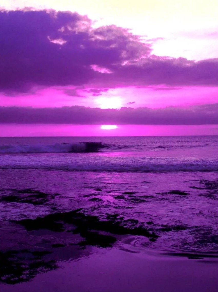 Красивый фиолетовый