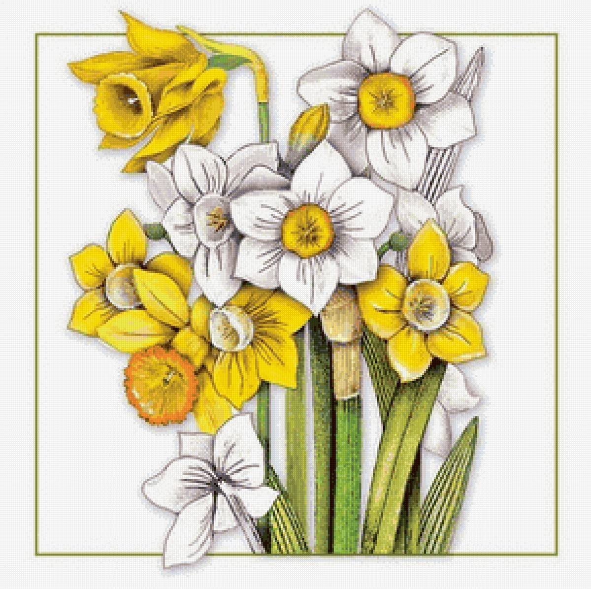 Стилизованные нарциссы