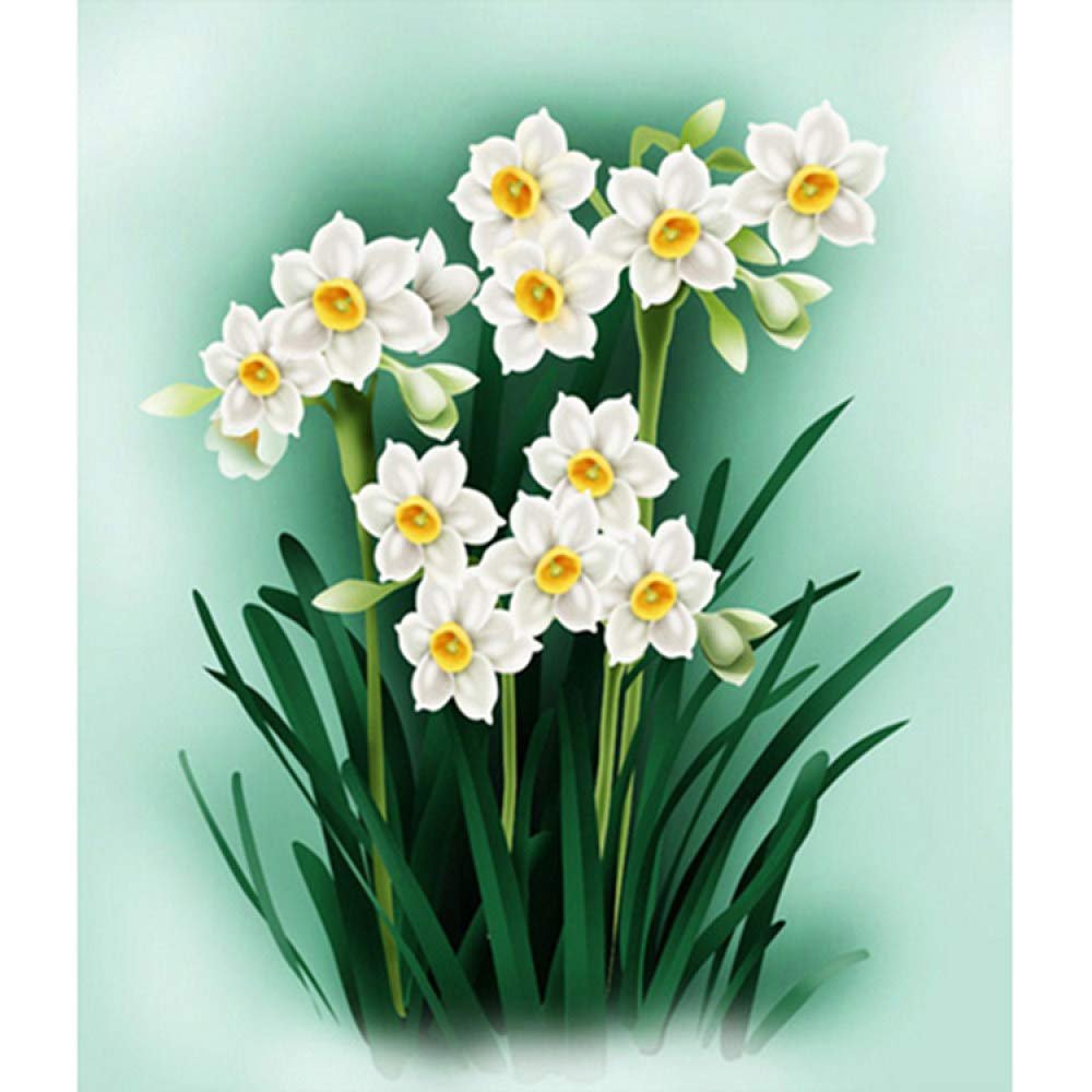 Алмазная мозаика нарциссы
