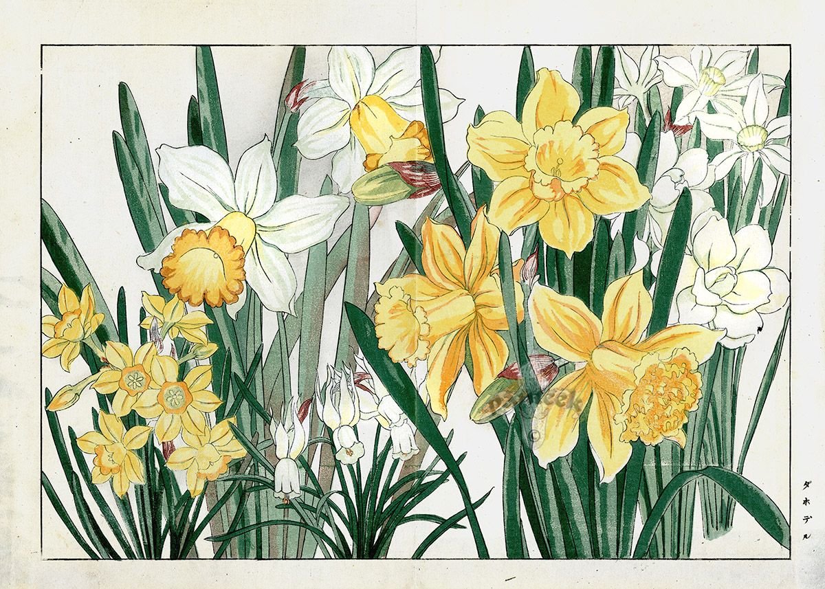 Весенние цветы