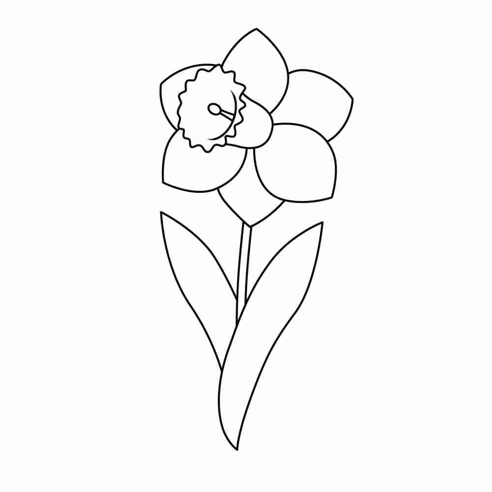 Ева Розенстанд нарциссы