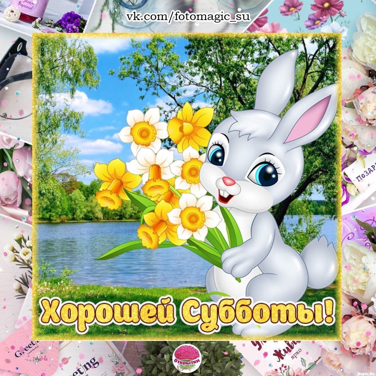 Открытки с субботой прикольные