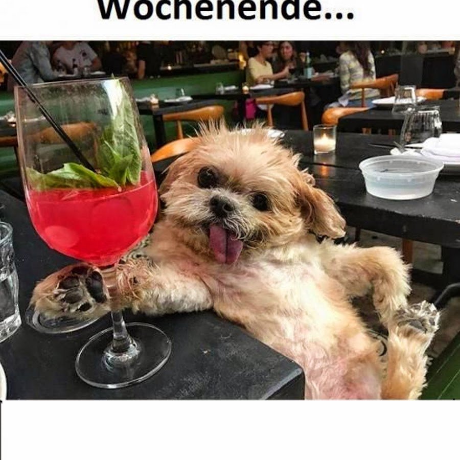 Вечер субботы демотиватор