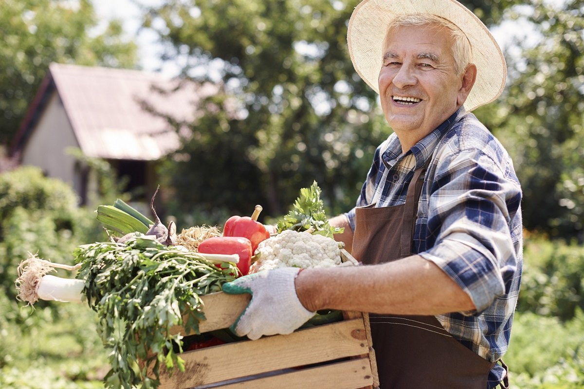 Мужик в огороде
