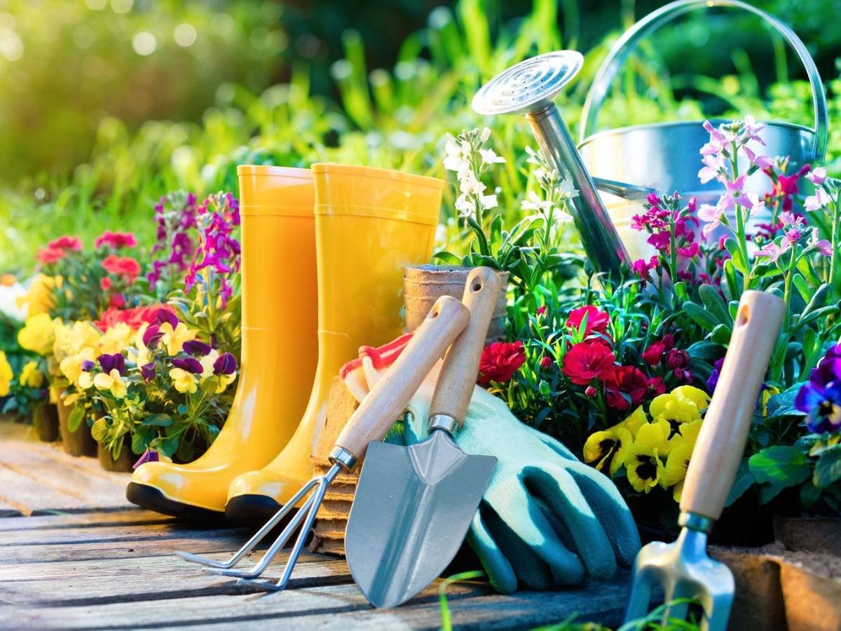 Садовый инвентарь