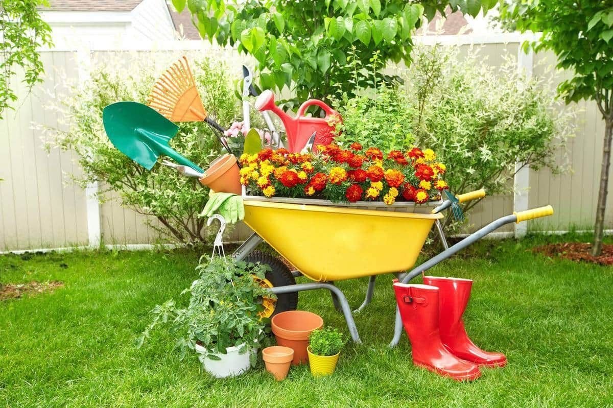 Полезные товары для дачи