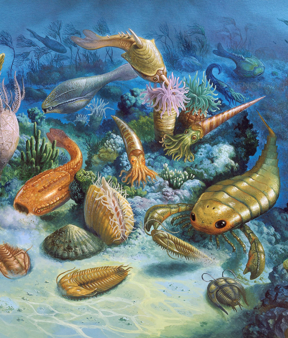 Палеозойская Эра Силур