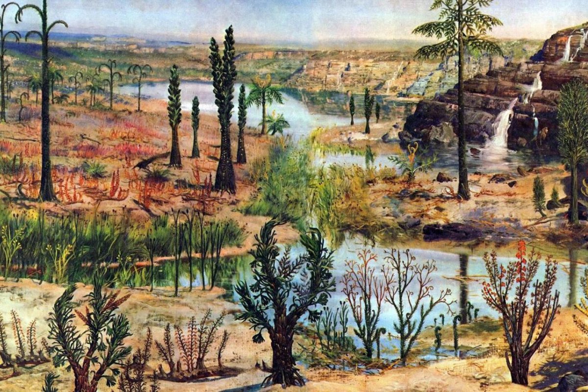 Каменноугольный период палеозойской эры