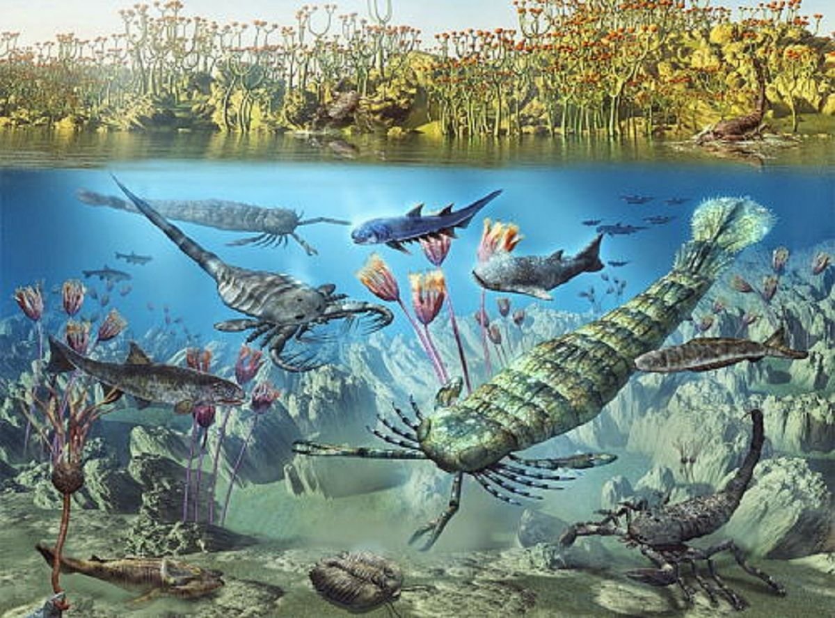 Девонский период палеозойской эры