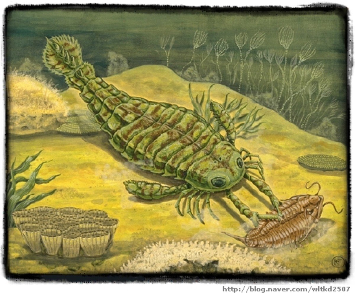 Рыбы девонского периода