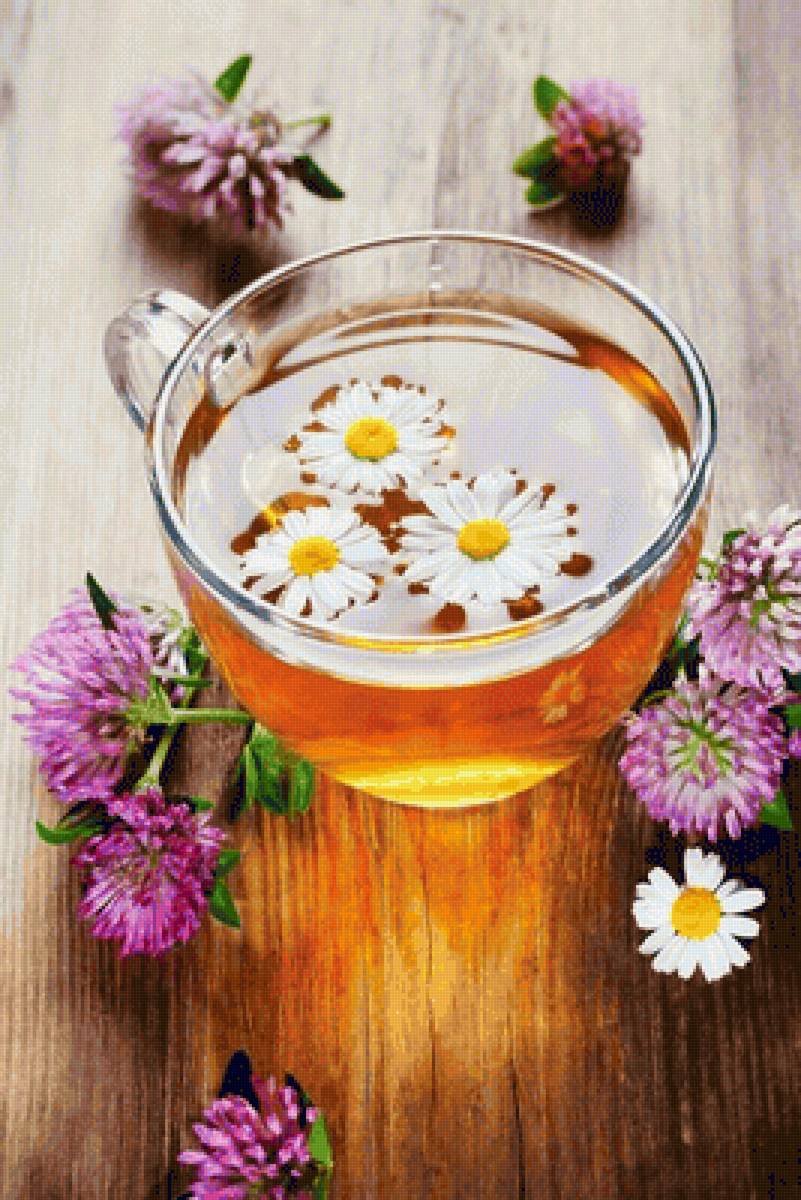 Ромашковый чай