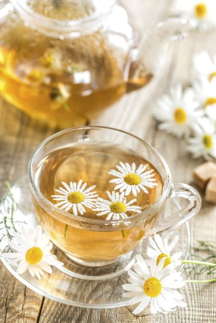 Горячий чай с ромашкой