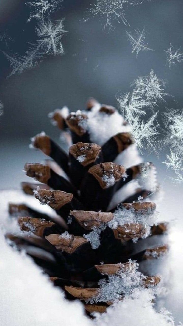 Хлопья снега