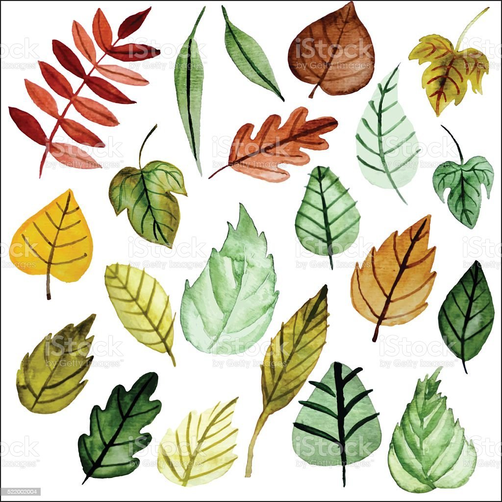 Листья для срисовки