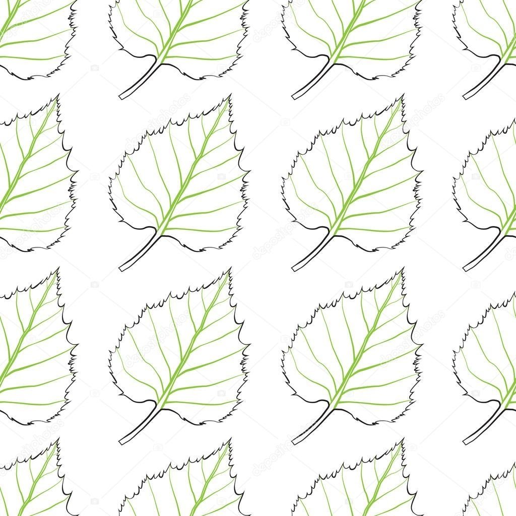 Осенние листья дуба клена березы рябины