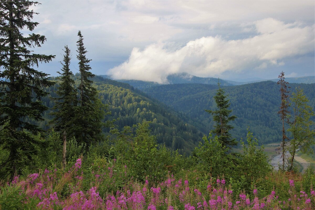 Бегущие облака - Западная Сибирь. Кузнецкий Алатау.
