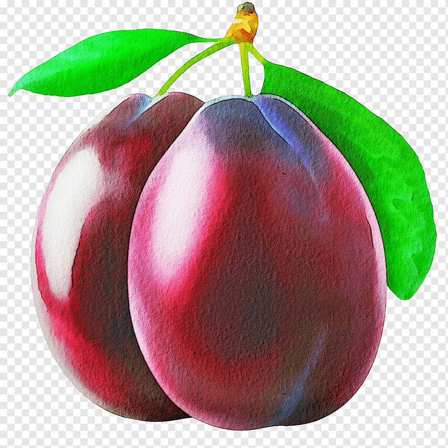 Фрукты акварелью