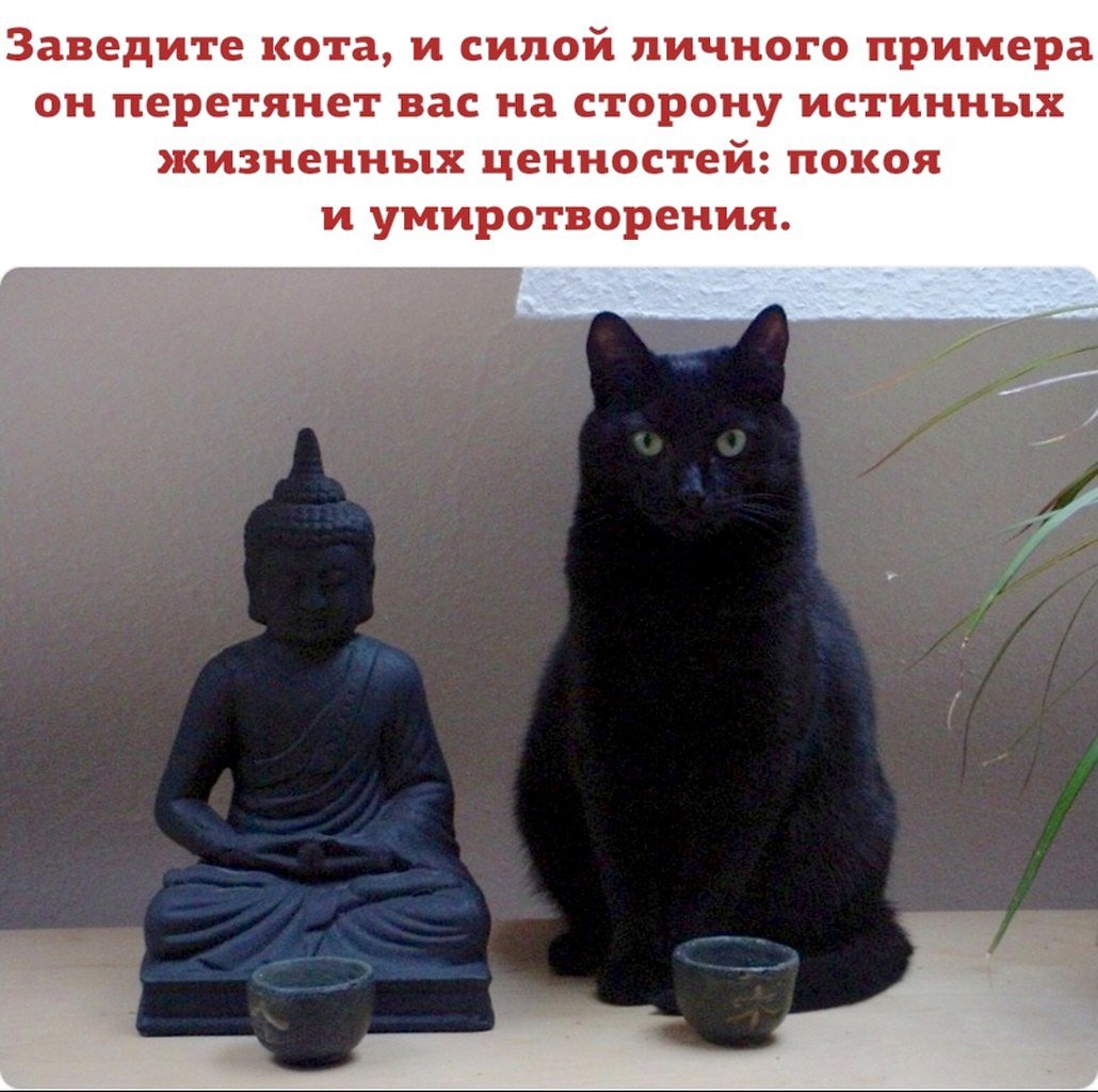 Анекдоты про буддизм