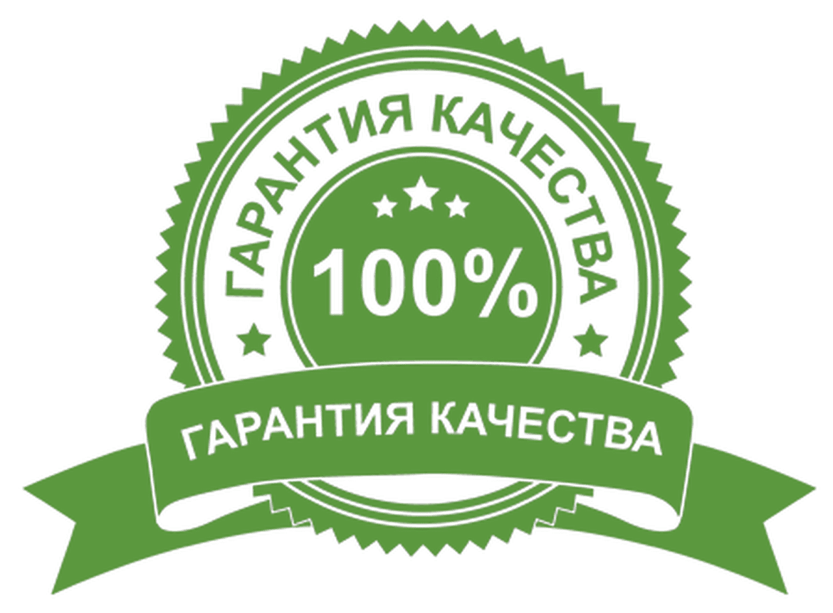 Логотип 100 качество