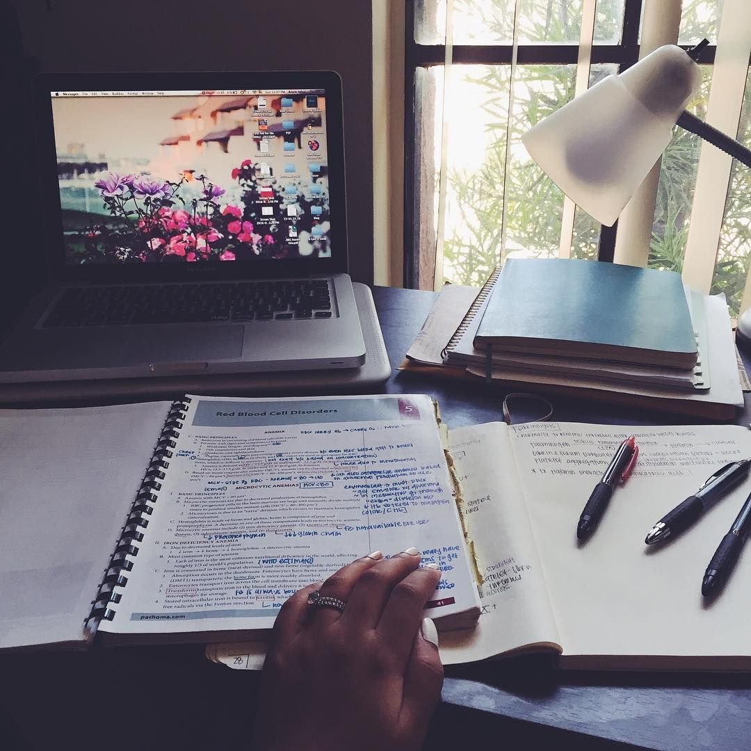 Эстетика учебы