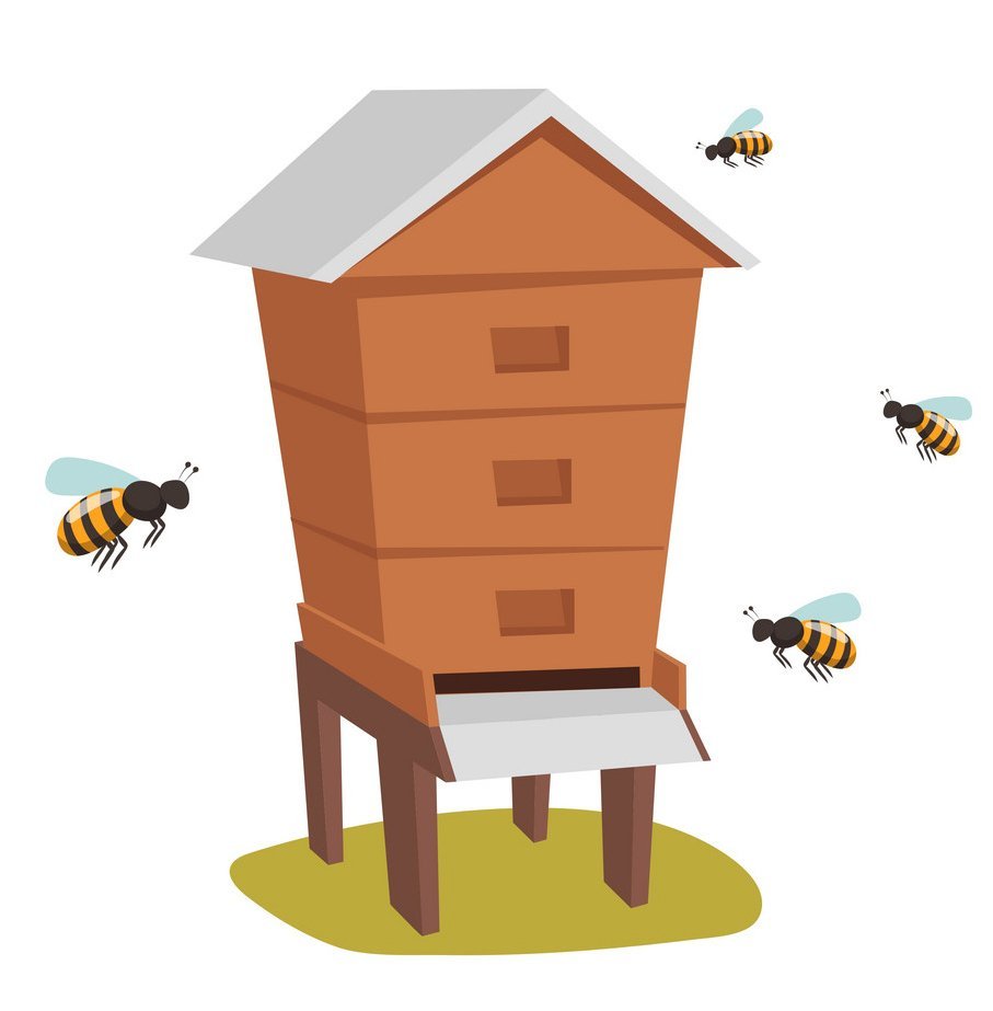 Улей на белом фоне