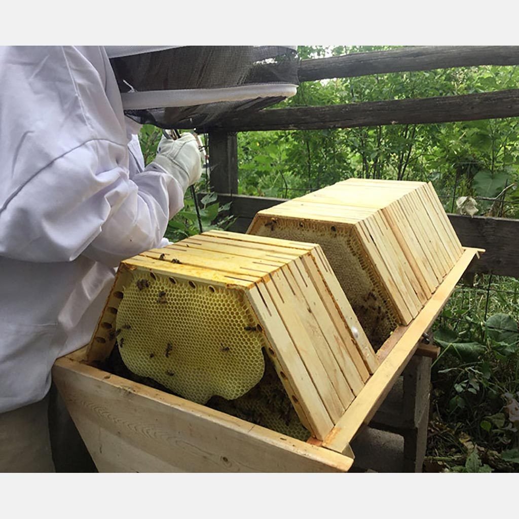 Улей Паламарчука