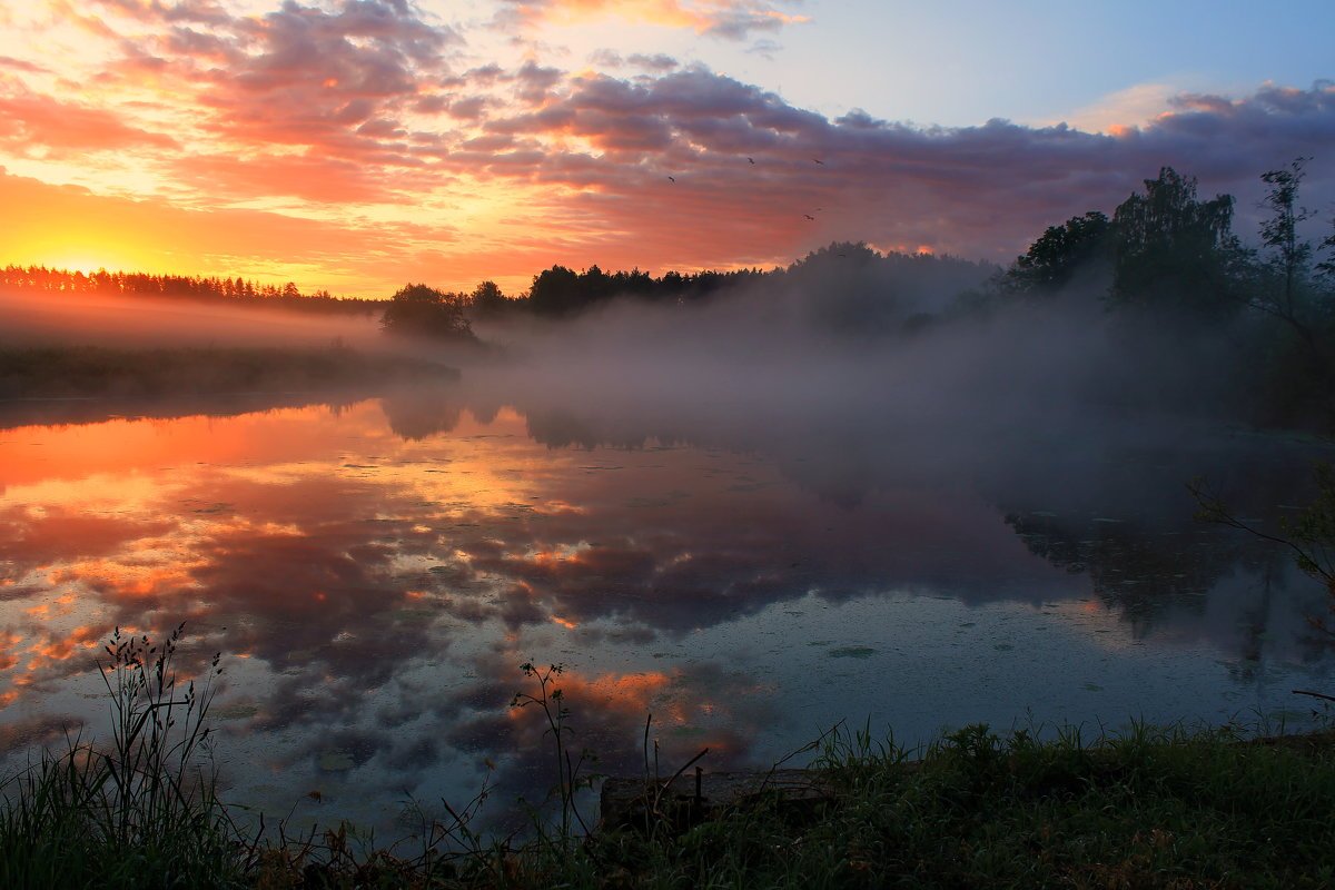 Утренняя Заря