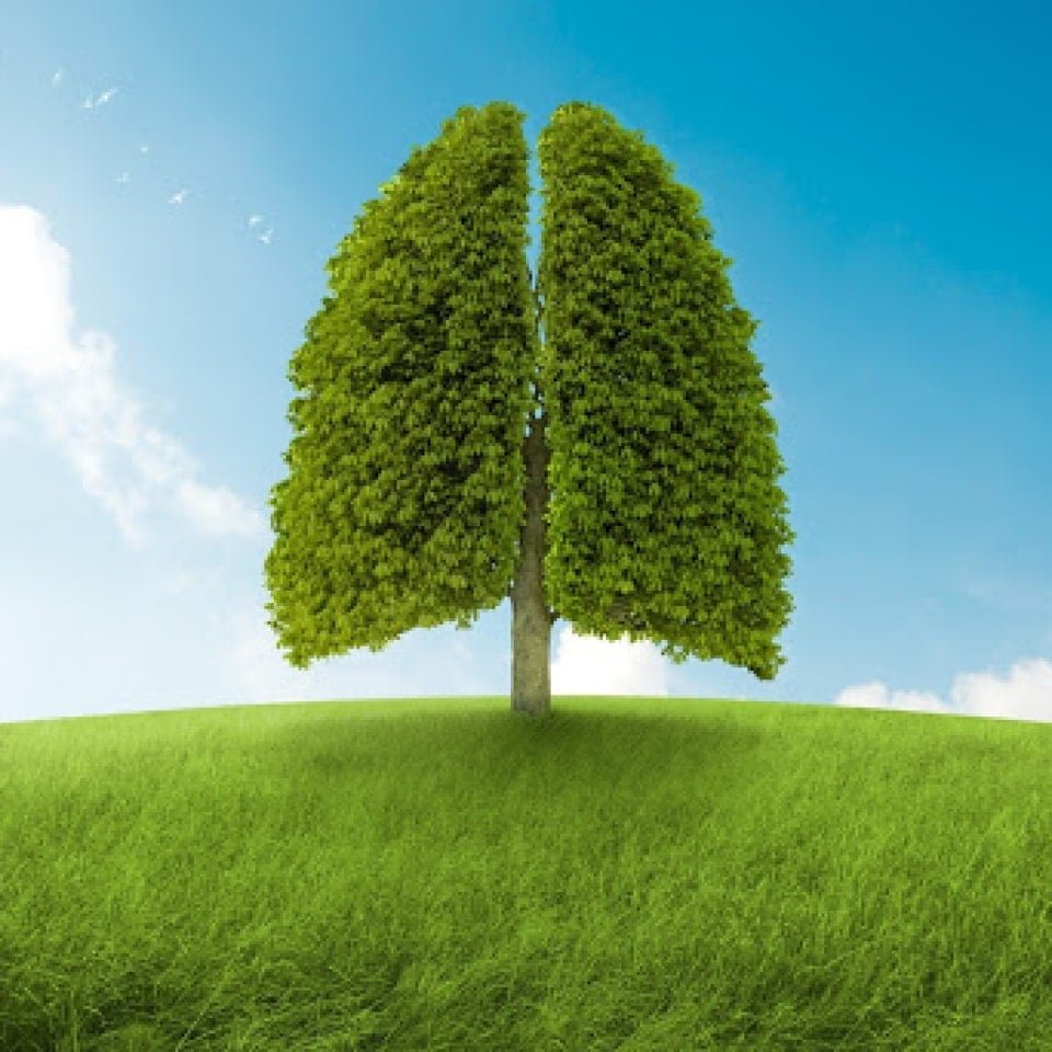 Легкие планеты