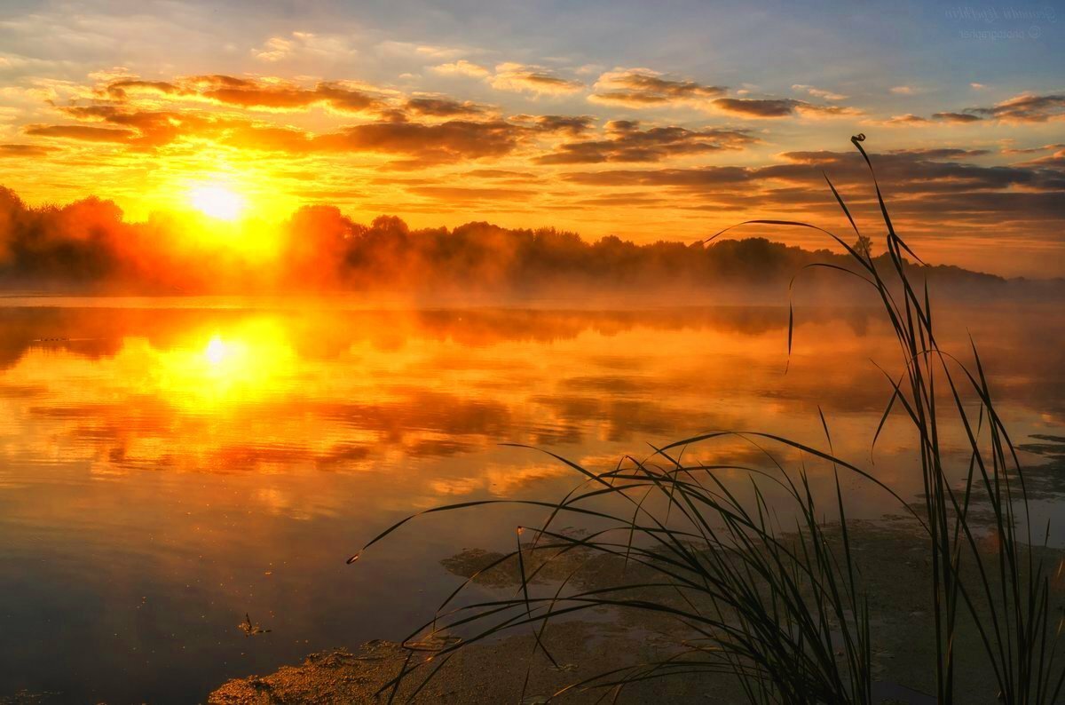 Утренняя Заря