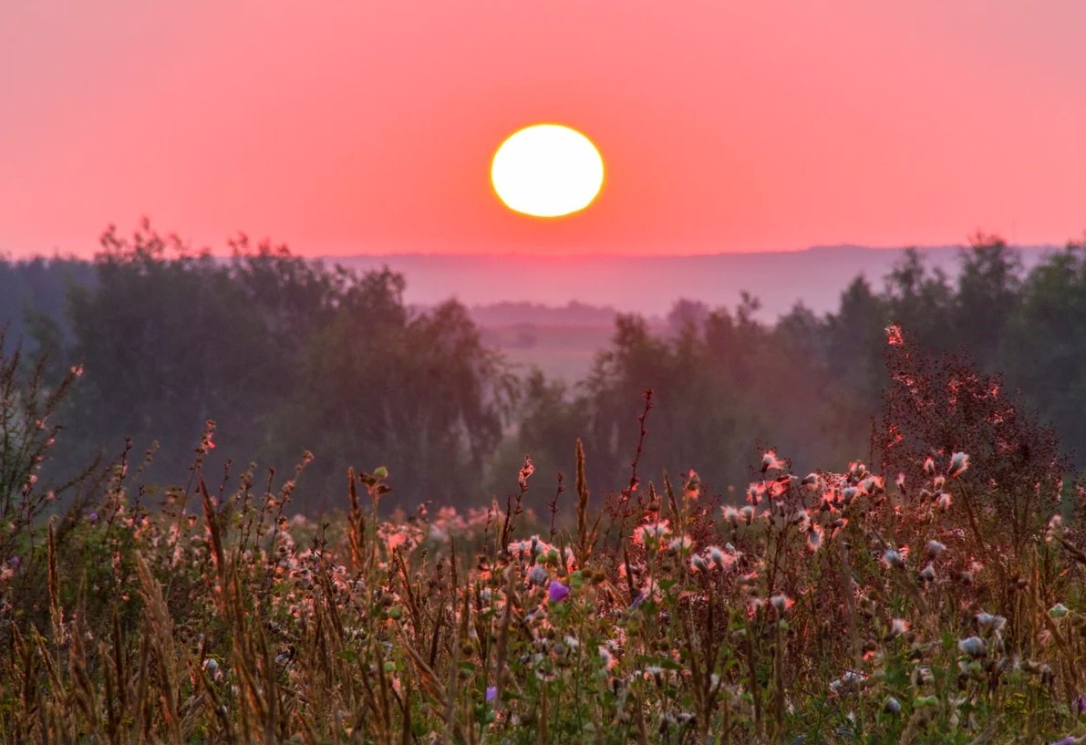 Зорька Заря