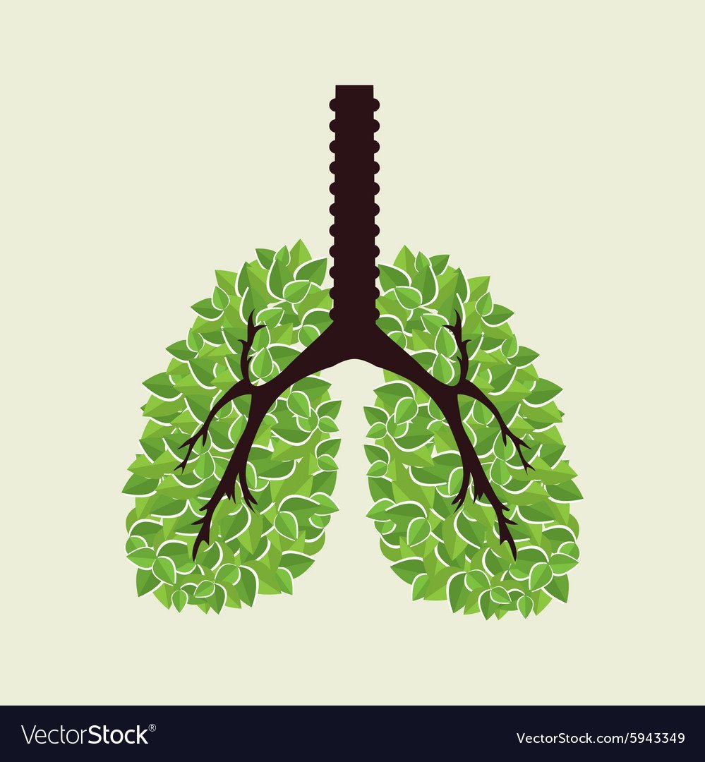 Здоровые легкие планеты