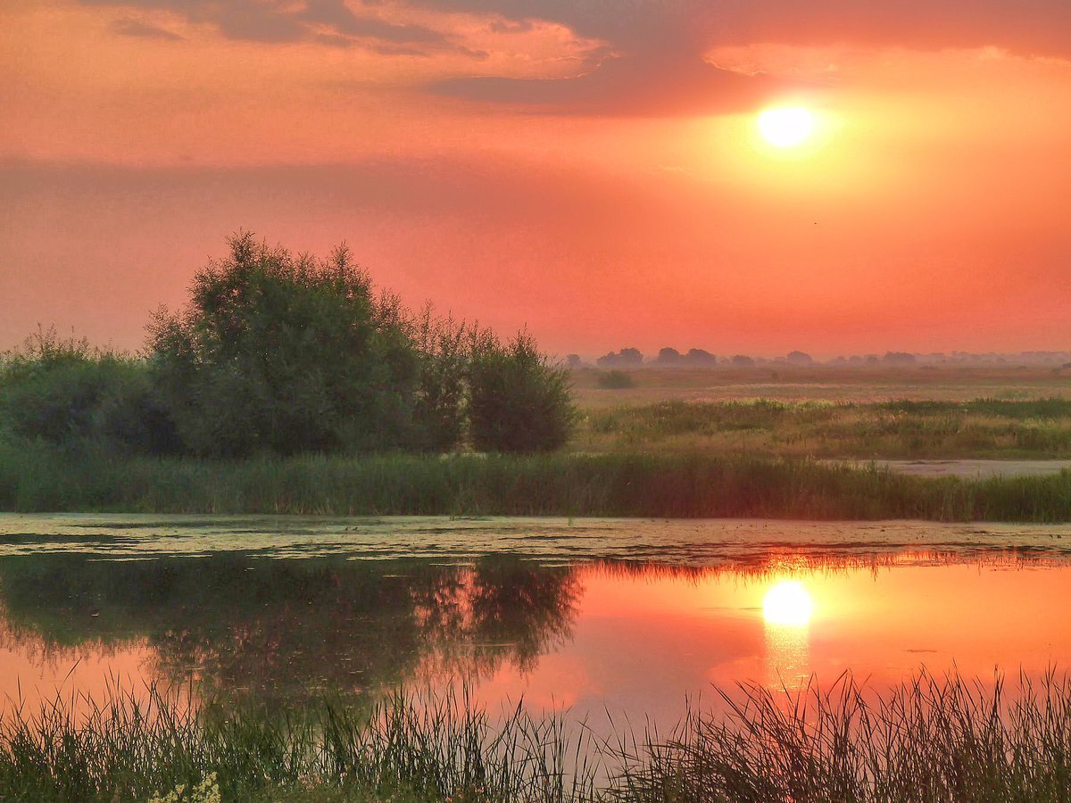 Пейзаж Заря