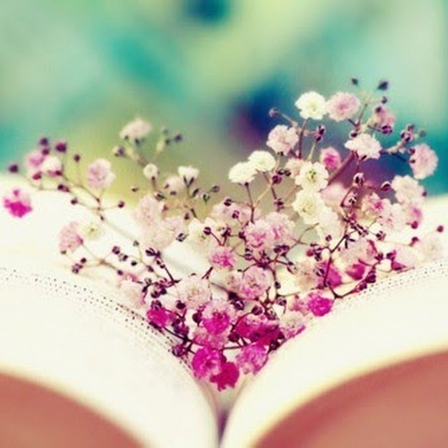 Картинки на аву нежные красивые