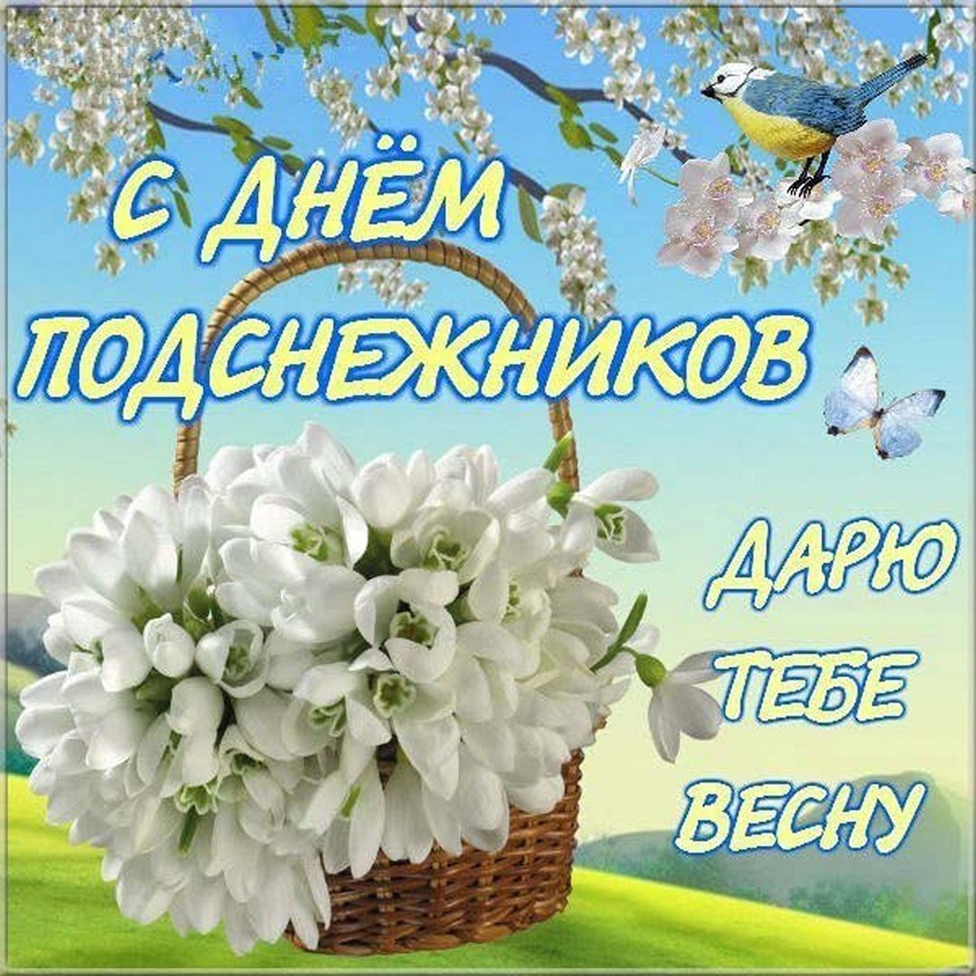 День подснежника