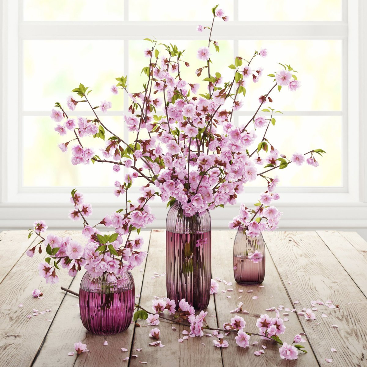 Цветущие ветки в вазе