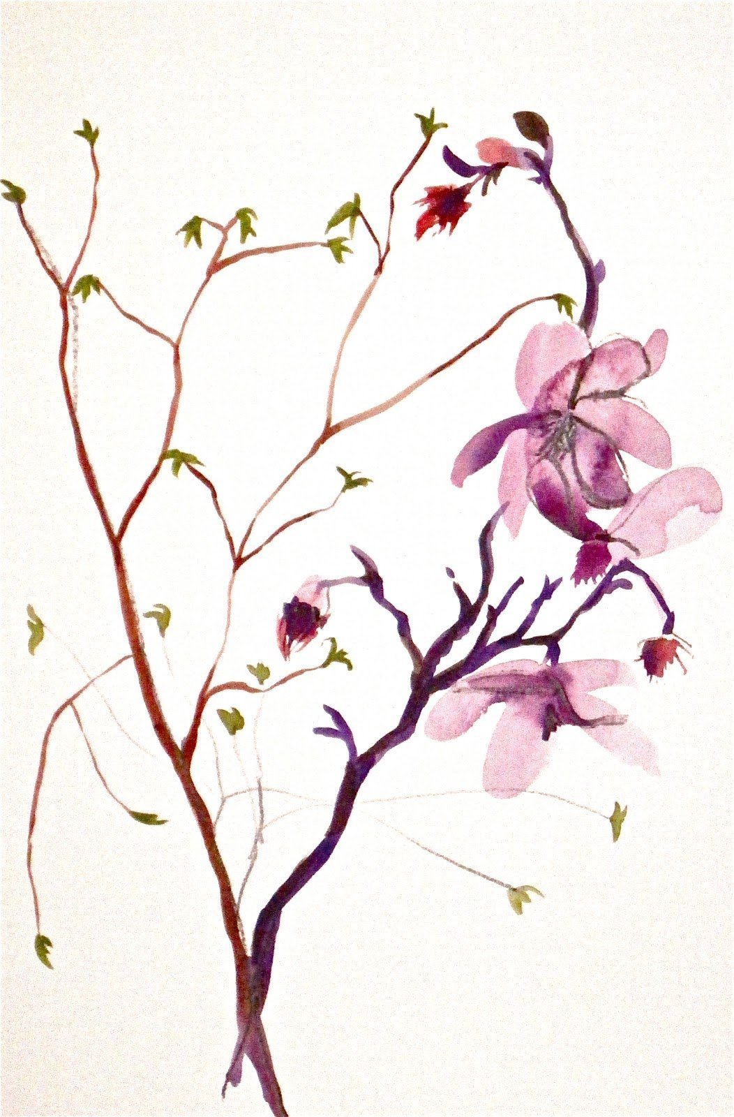 Ветка цветов акварель