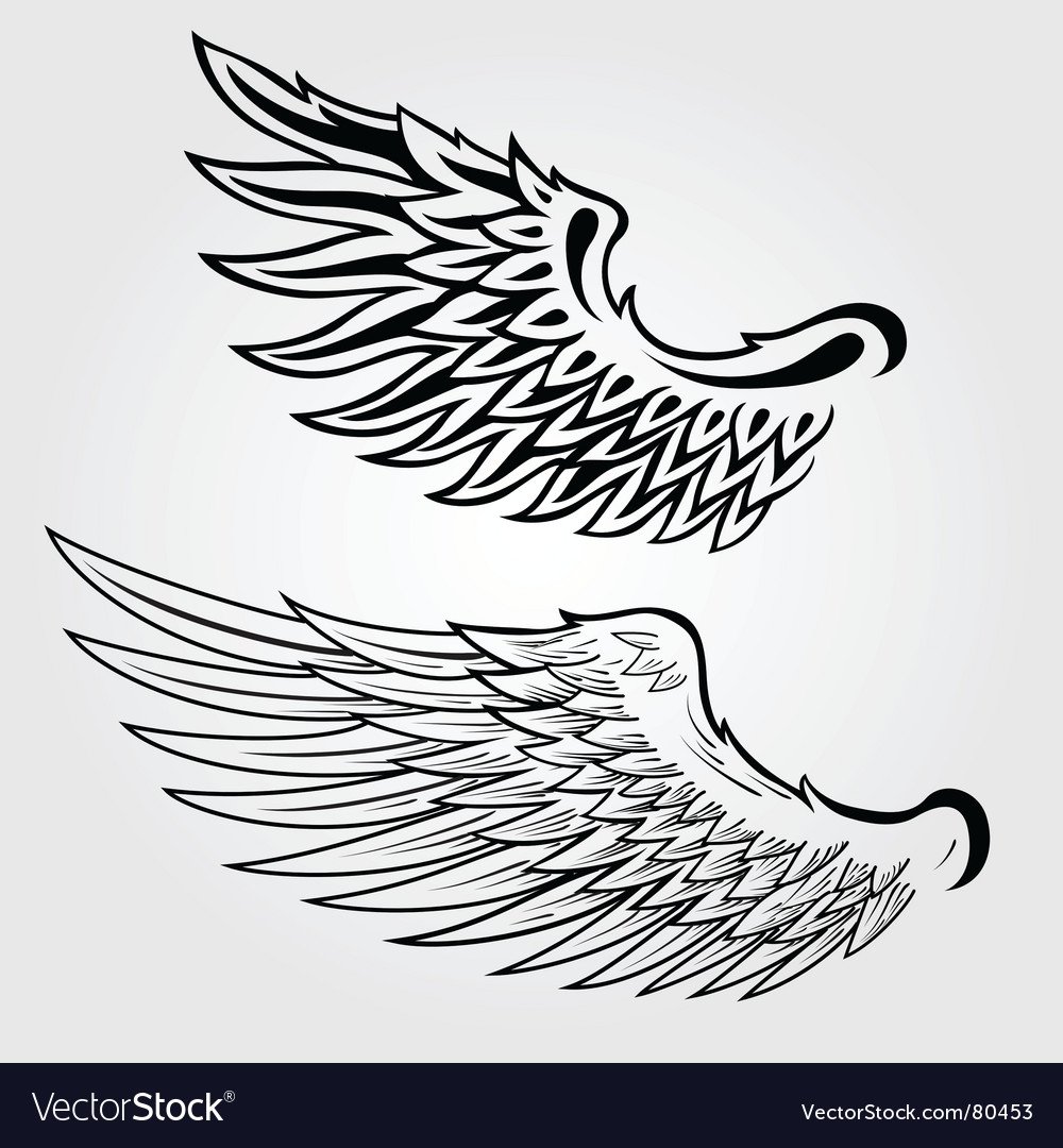 Крылья Эстетика