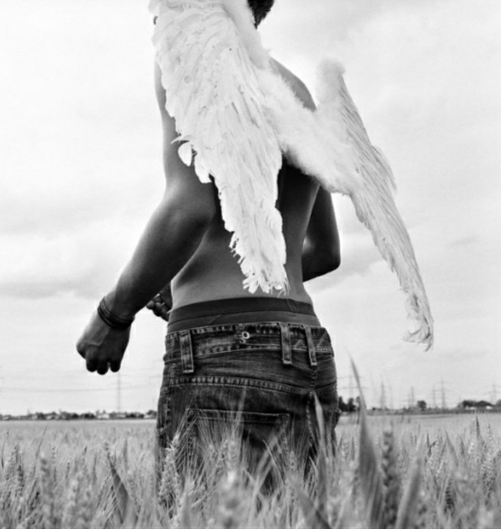 Крылья ангела на прозрачном фоне