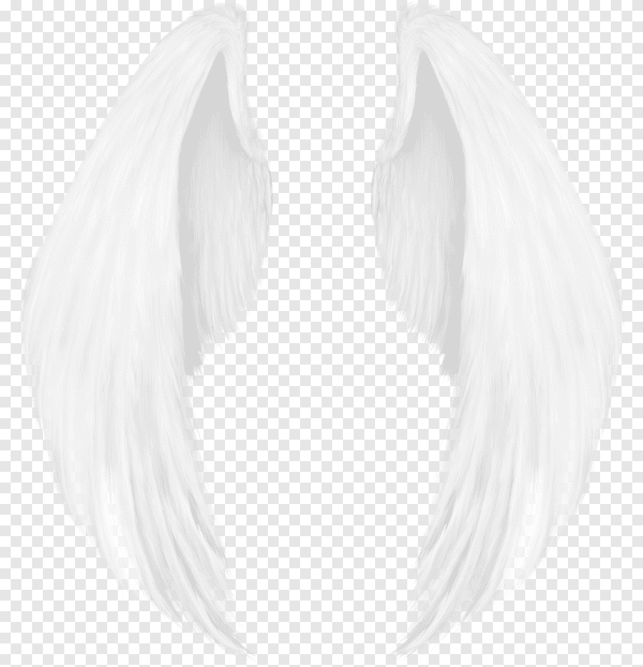 Крылья лёгкие