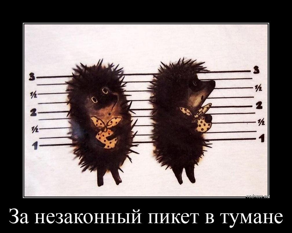 Страшный Ежик