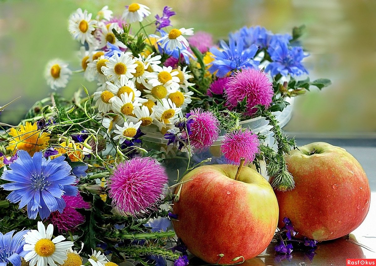 Августовские цветы