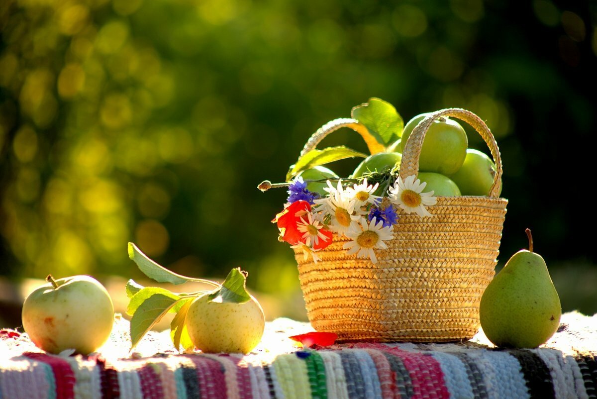 Красивый август