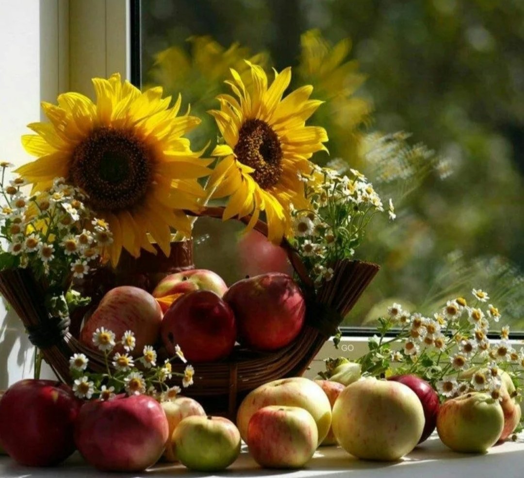 Лето август