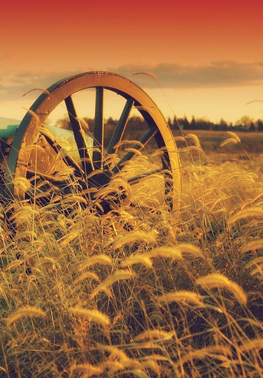 Лето август природа