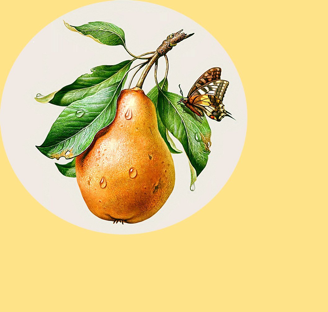 Кусочки груши