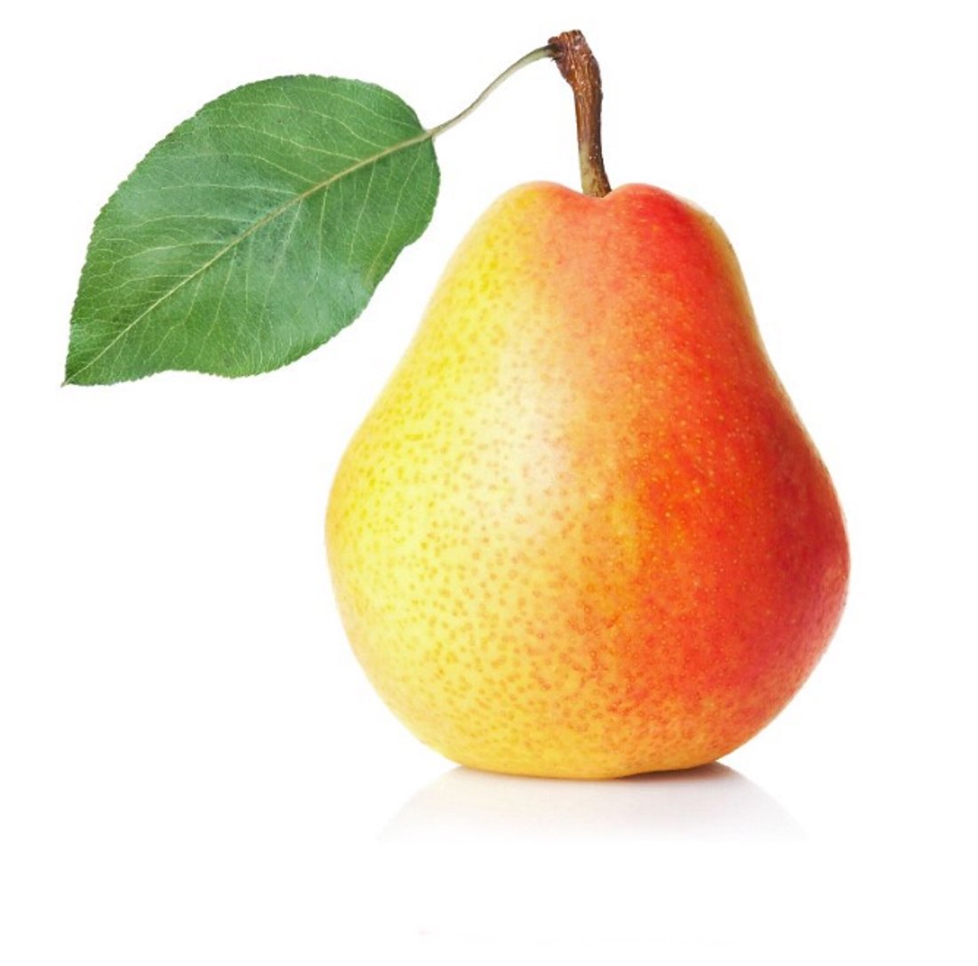 Груша рисунок