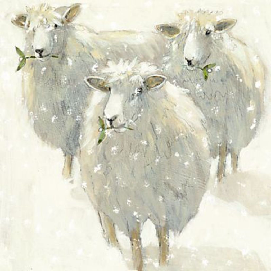 Овцы Эстетика