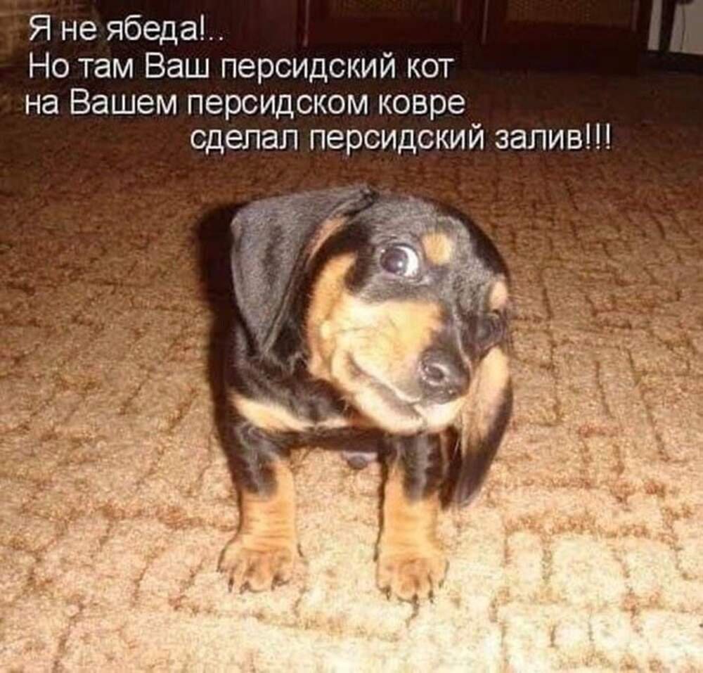 А Я маленькая бяка а я маленькая дрянь