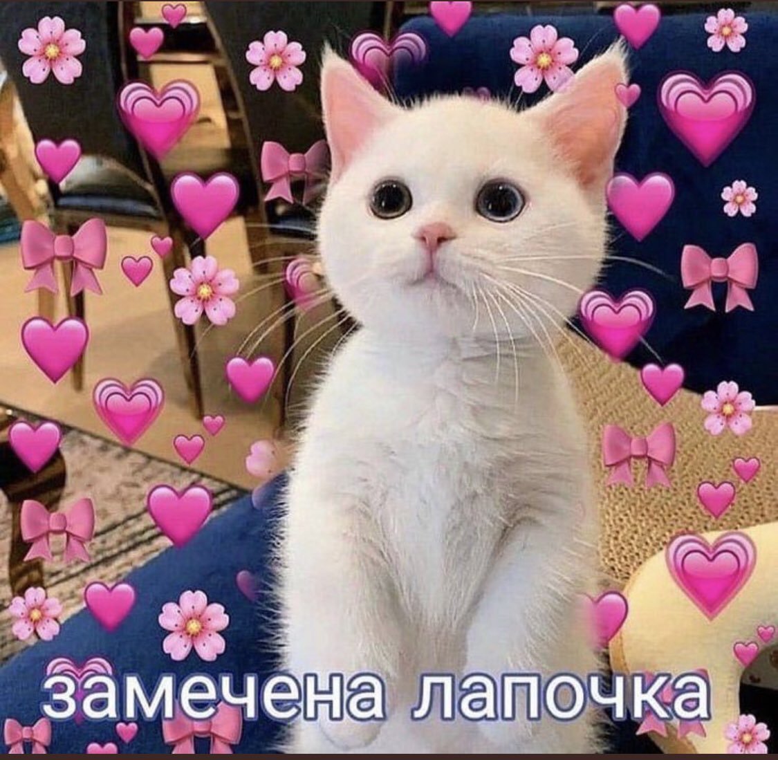 Милый кот с сердечками